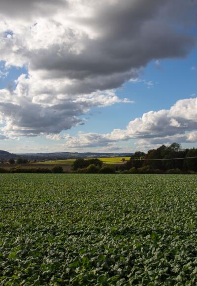 Lengham St Ulrich Ausblick