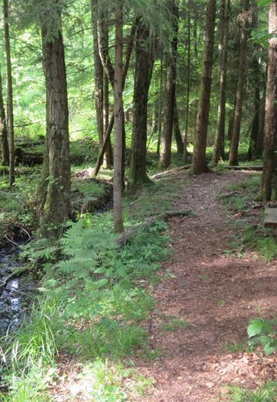 An der Aurachquelle