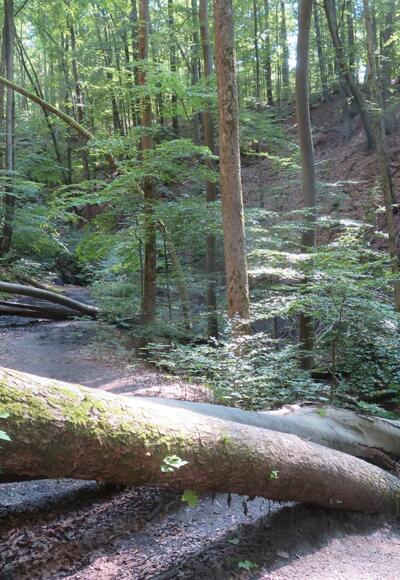 Naturerelebnis pur