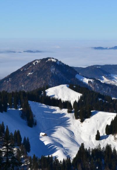 Der Blick vom Feuerstätterkopf reicht bis zum von Wolken bedeckten Bodensee.