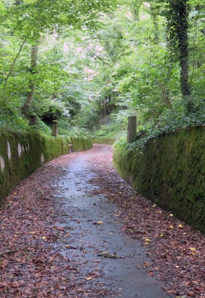 Kreuzweg