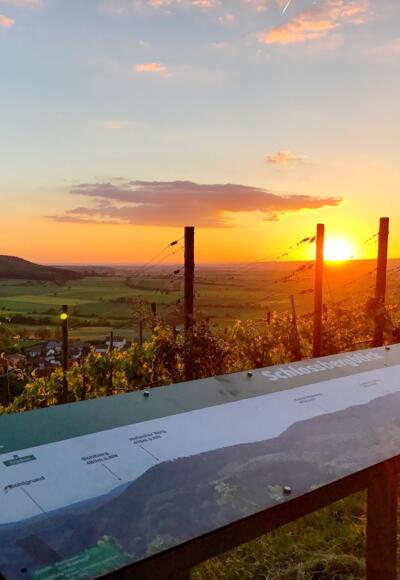Zell a. E. Schlossberg Panorama Abendstimmung