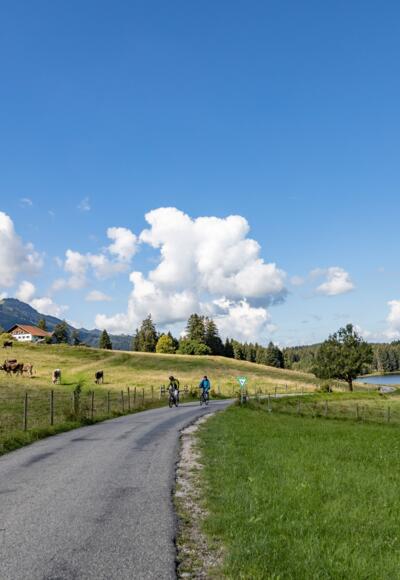 Alpe Kögelhof und Kögelweiher