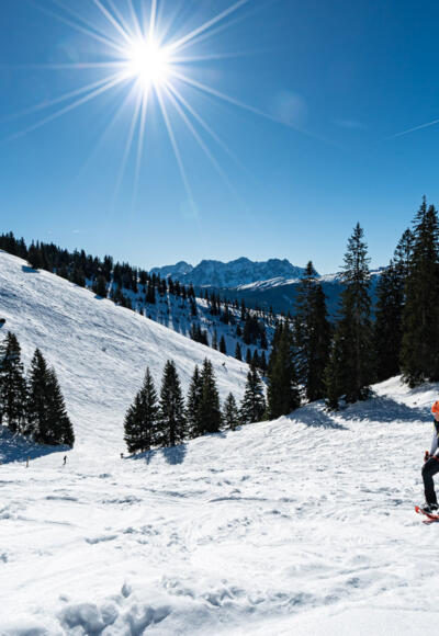 Durch das Dürrnbachtal geht es auf die Lembergschneid