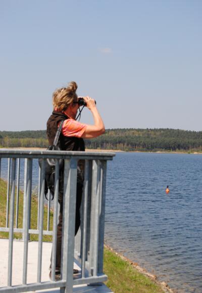 Vögelbeobachtung am Rothsee