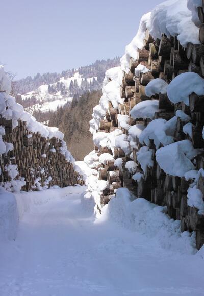 Wanderweg zwischen Holz
