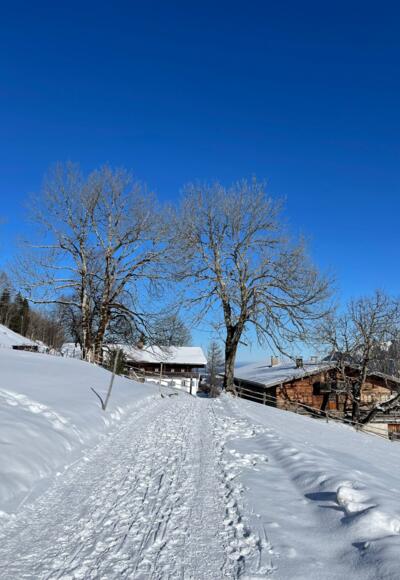 Winterlicher Ausblick auf der hohen Asten