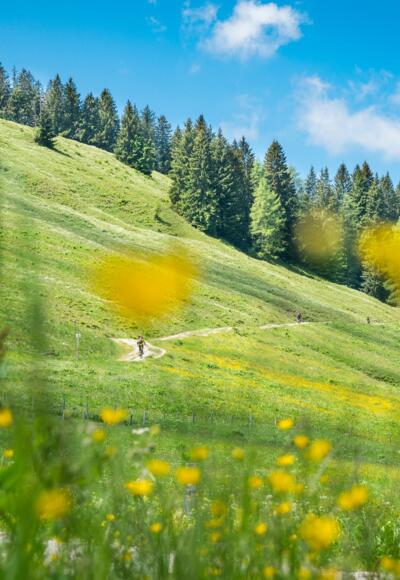 Unterwegs am Schliersberg