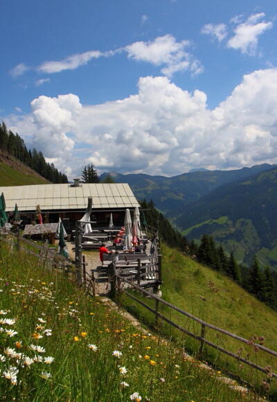 Viehhausalm