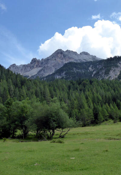 Der Blick vom Römersattel Richtung Leoganger Steinberge
