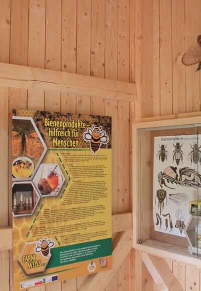 Geheimnisvolle Honigbiene - Besucherraum