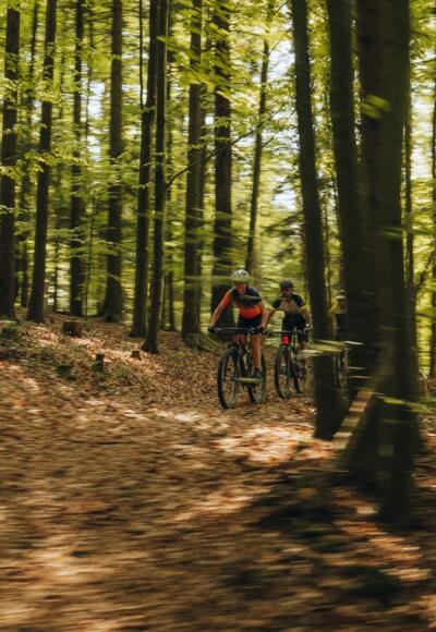 Mountainbiker im Böhmerwald