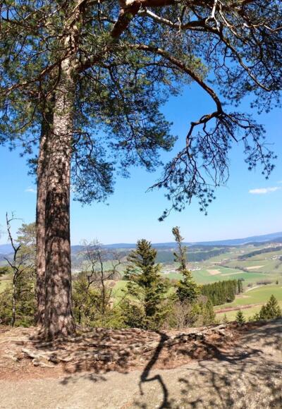 Brezer-Jausen-Weg Kühstein Sarleinsbach