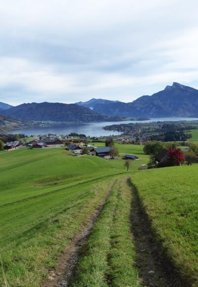 Der Ort Mondsee, das Ende der wunderbaren Höhenwanderung ist in Sicht.