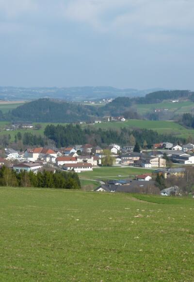 Ausblick_Steiningerhöhe_(10)