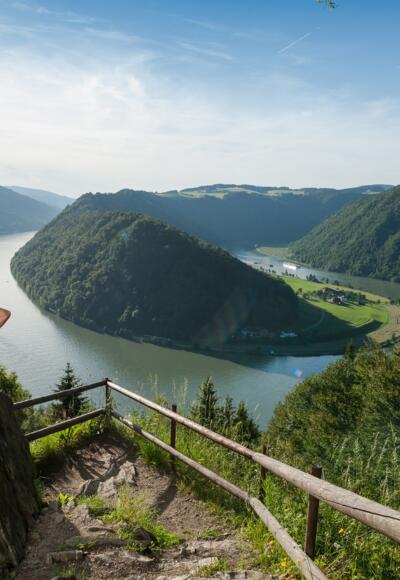 Donausteig - Schlögener Blick