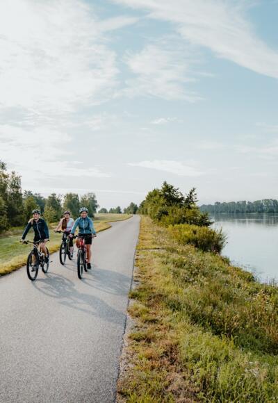 Radtour am Donauradweg bei Feldkirchen an der Donau