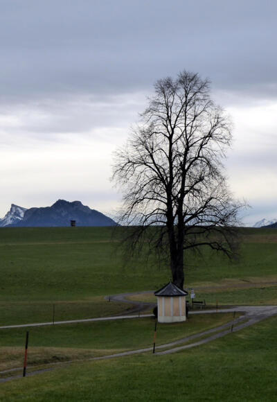 Der Weg nach Eugendorf zweigt bei der Kapelle nach rechts ab.