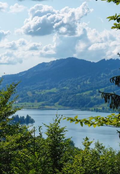 Blick zum Großen Alpsee von der Ruine Hugofels