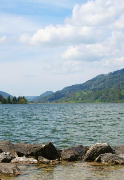 Blick über den Großen Alpsee