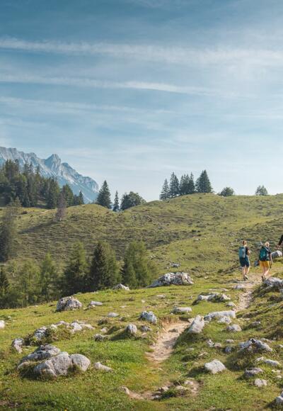 Scheffau_Steinbergalm_Wilder Kaiser