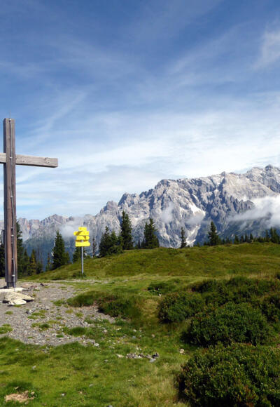 Am Ahornstein gibt es Platz genug für alle.