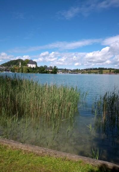 Blick auf Schloss Mattsee