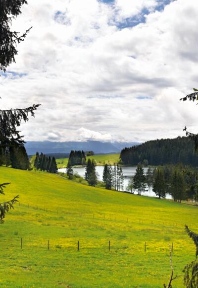 Eschacher Weiher