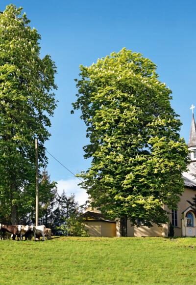 Wallfahrtsort Gschnaidt