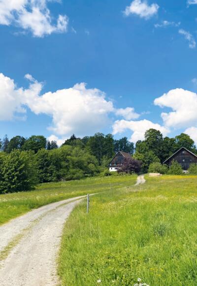 Auf den Herrenberg