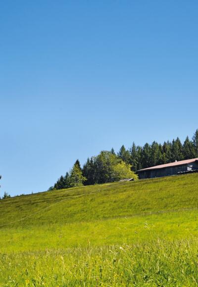 Rundwanderung um den Mussenhof