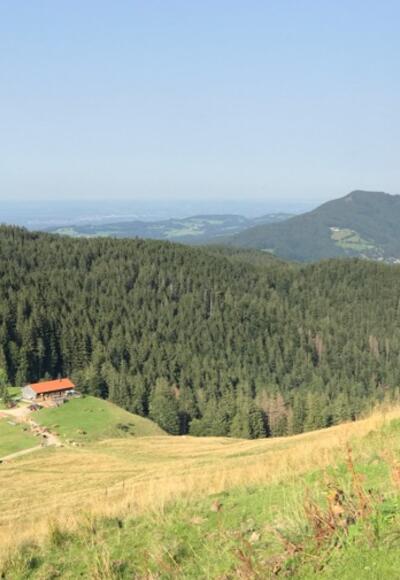 Blick vom Gindelalmschneid zur Gindel-Alm