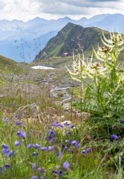 Die Niederelbehütte rückt in greifbare Nähe.