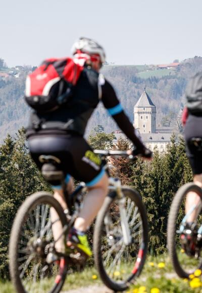 Mountainbiken in St. Martin im Mühlkreis