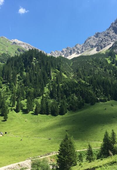Blick auf den Elfer