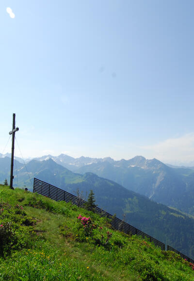 Gipfel des Falvkopfes