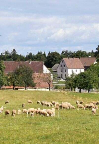 Klingenhof