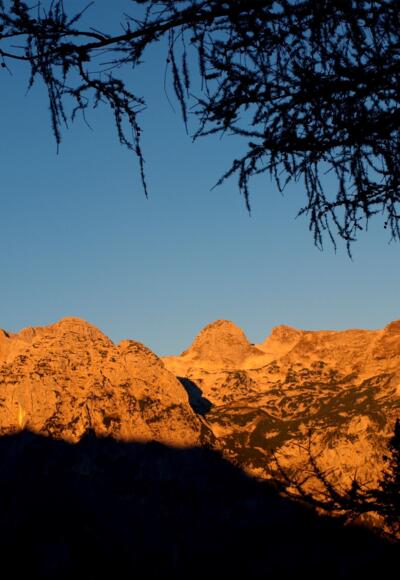 Sonnenaufgang am Stadlhorn vor der Schärtenalm ~1300m