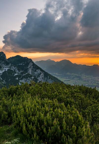 Gipfel Rauschberg mit Blick nach Ruhpolding