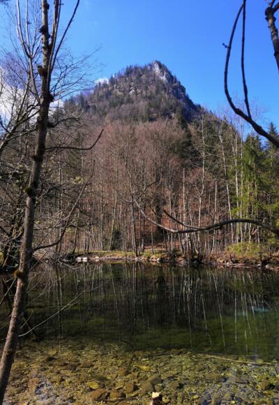 Weier beim Zwingsee