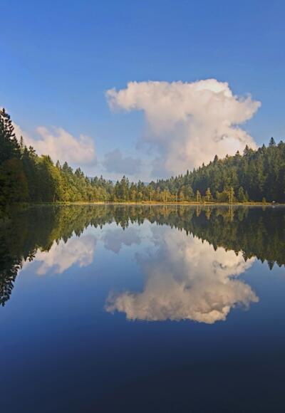 inzell sommer frillensee panorama
