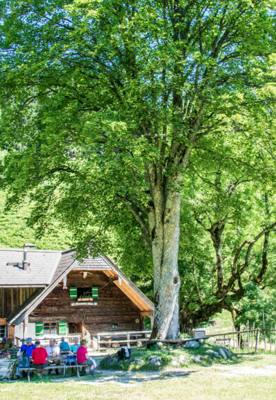 Steineralm am Fuße des Staufens