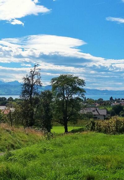 Blick von Bettnau zum Bodensee und Säntis