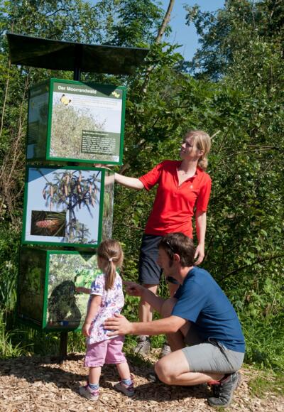 Moor-Erlebnis-Pfad Inzell/Chiemgau  Station 12 Moorrandwald