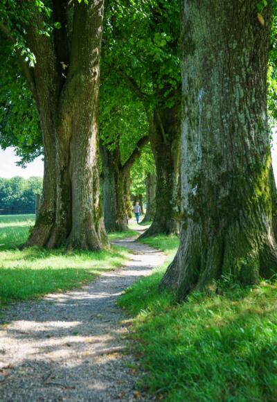 Holzkirchen