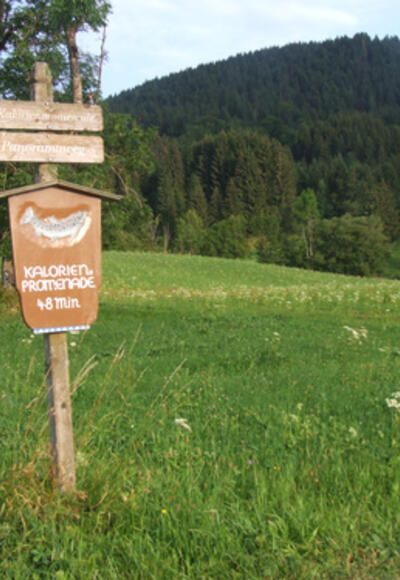 Kalorienpromenade - nach 48 Minuten Fußmarsch  Forelle blau