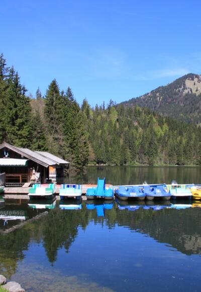 Am Spitzingsee