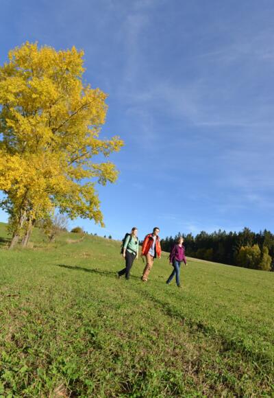 Landschaft im Mühlviertel