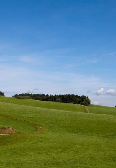 Landschaft Mühlviertel