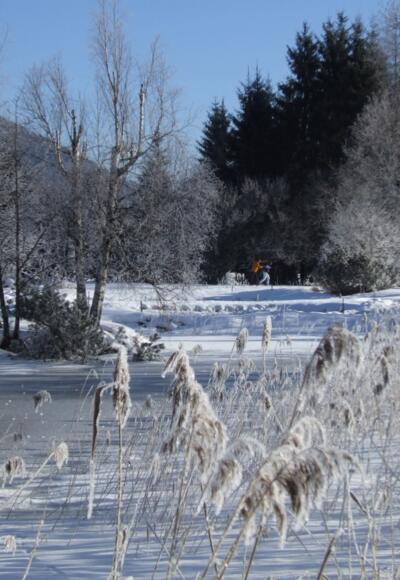 Inzell/Chiemgau: Auf der Langlaufstrecke kleine Filzenrunde die atemberaubende Landschaft genießen
